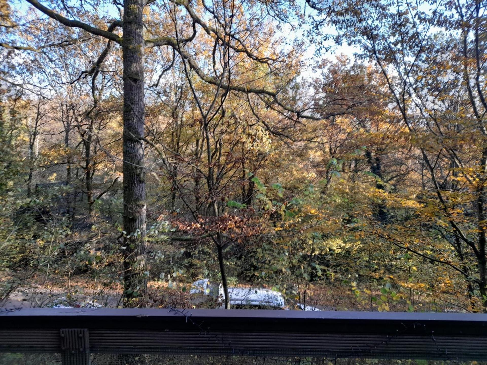 Cosy Chalet Durbuy view 5
