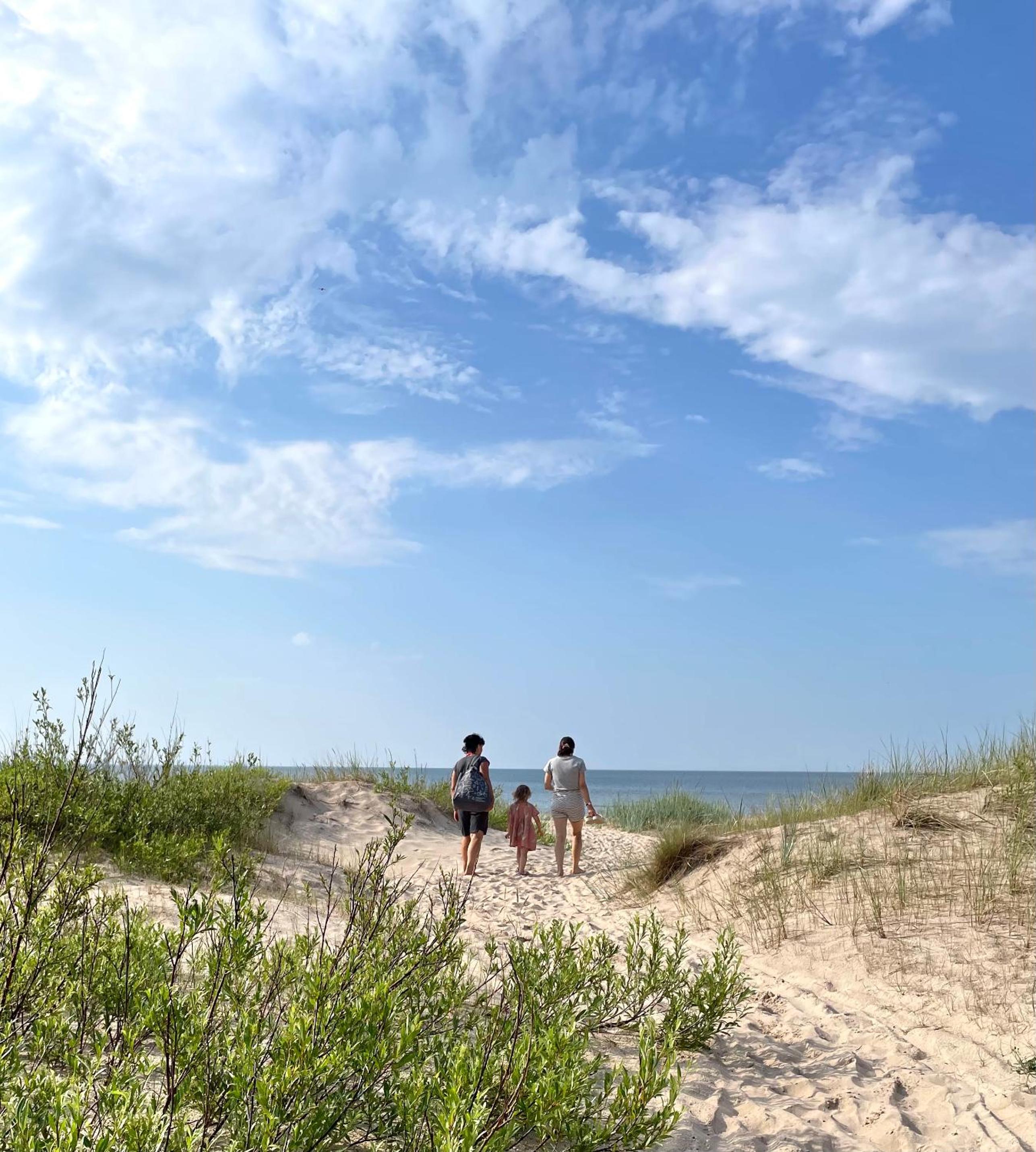 Secluded Holiday Home with Sauna in National Park by the Sea view 3