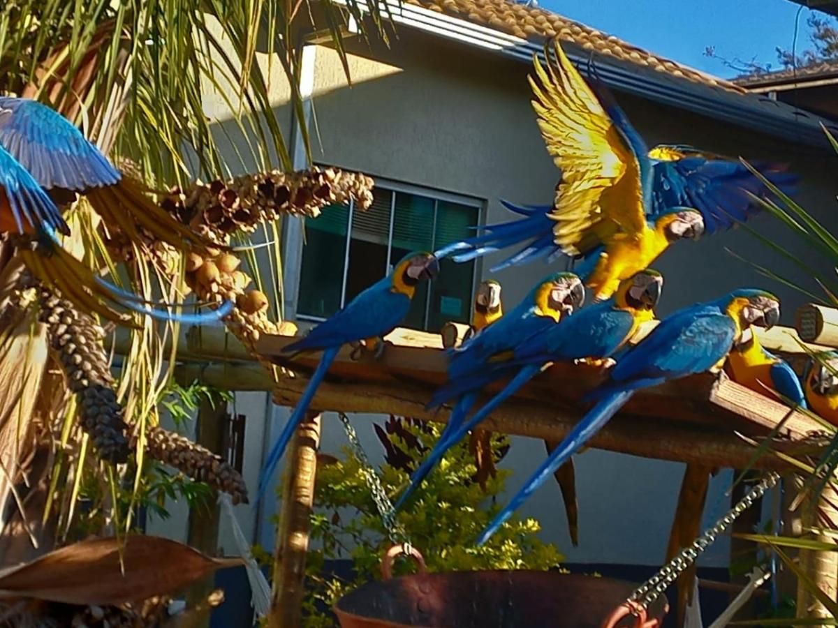 children's play area