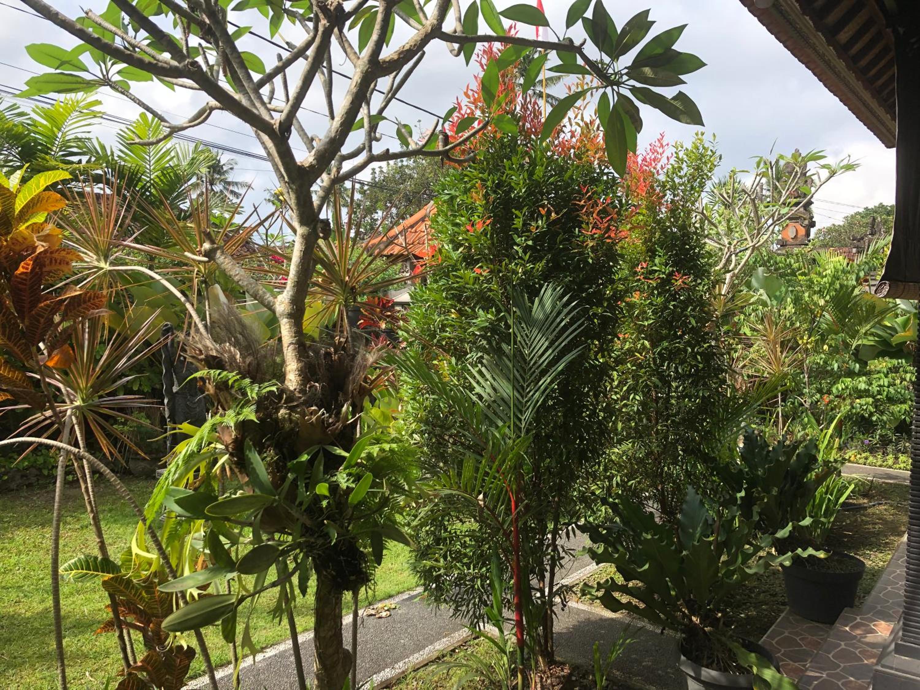 Pondok Badri view 5