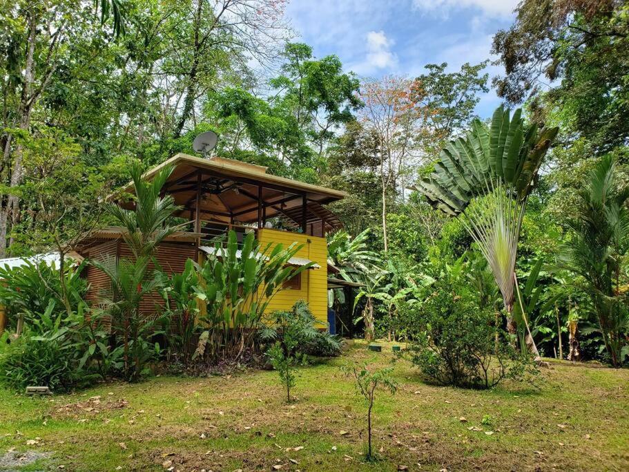 Cabina Harlequin at Margarita Hills