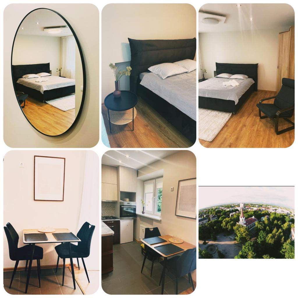 S&A apartamentai view 4