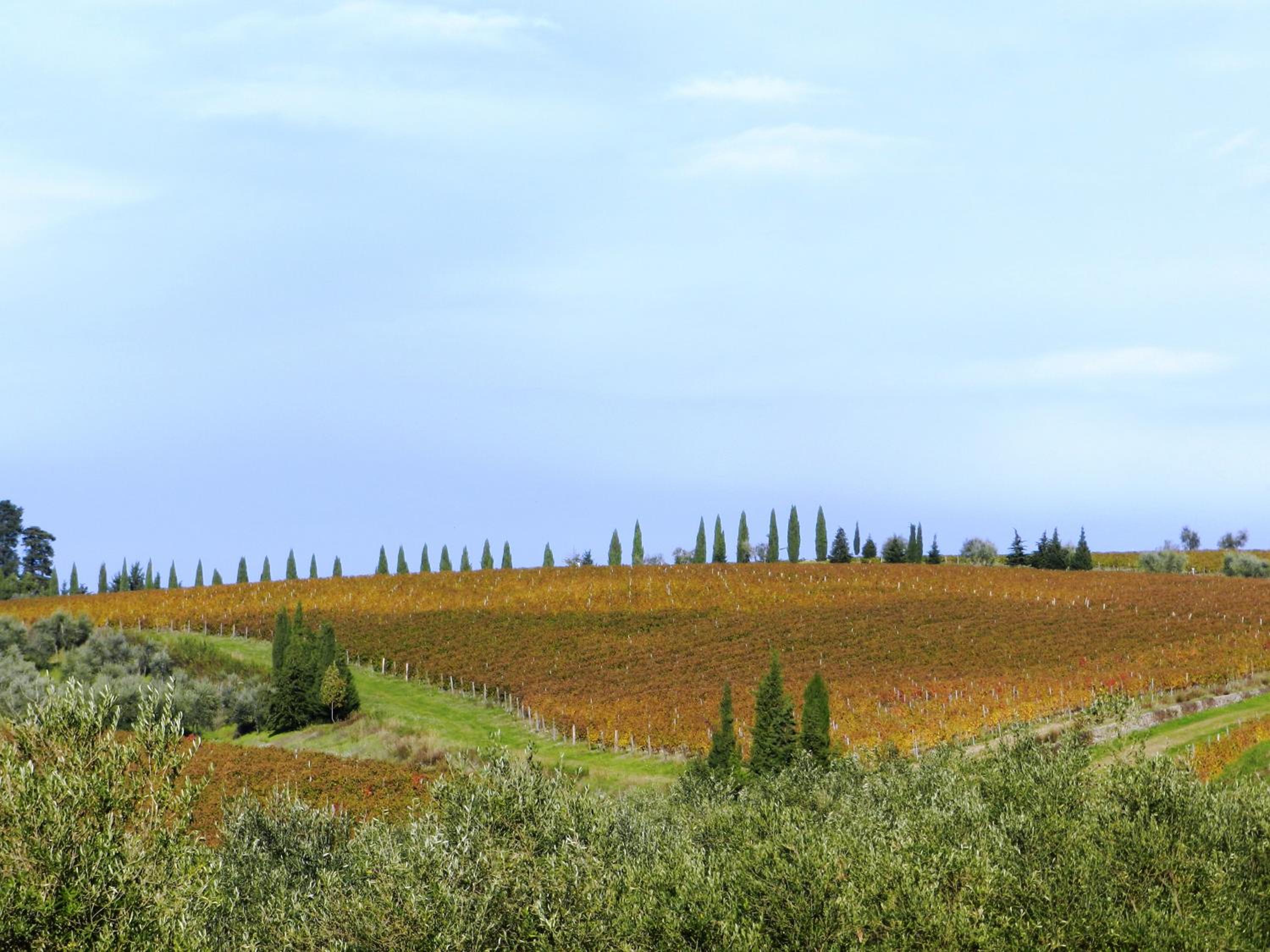 Podere Vignola