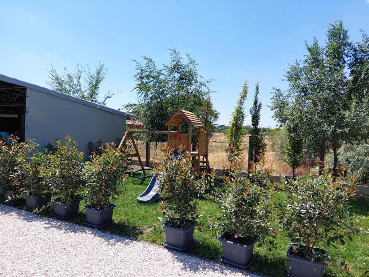 Photo 46