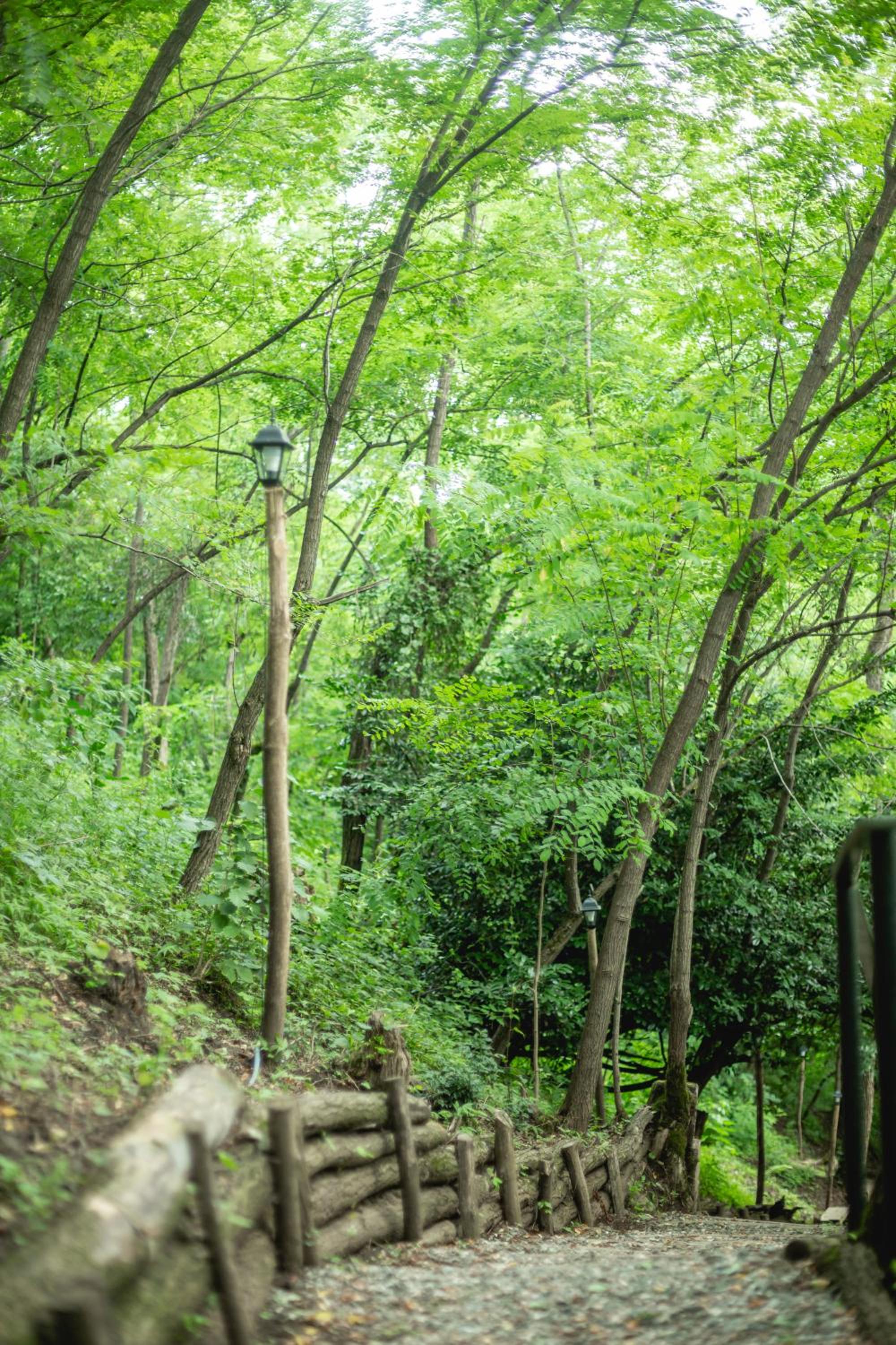 Photo 44