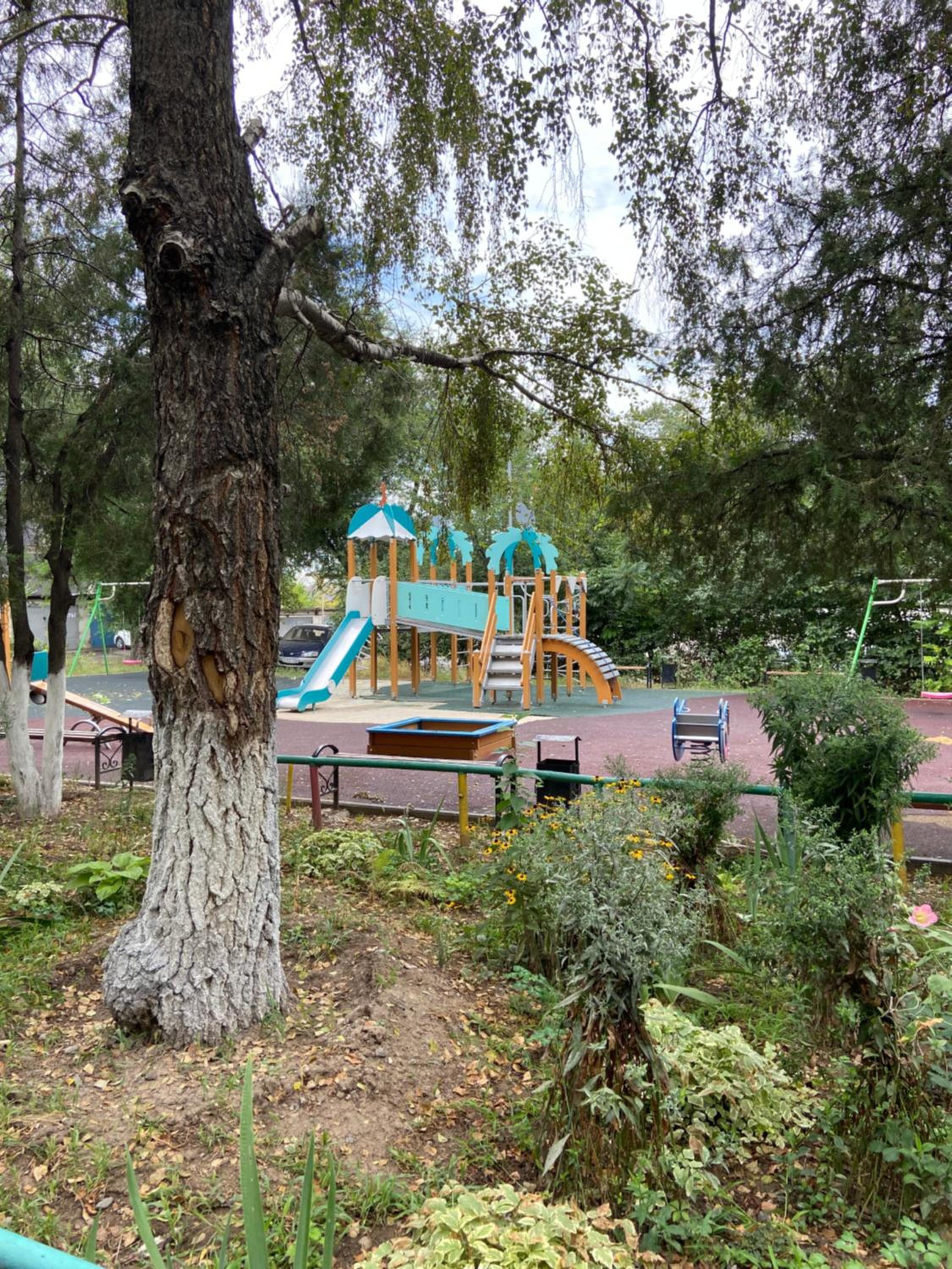 Photo 19