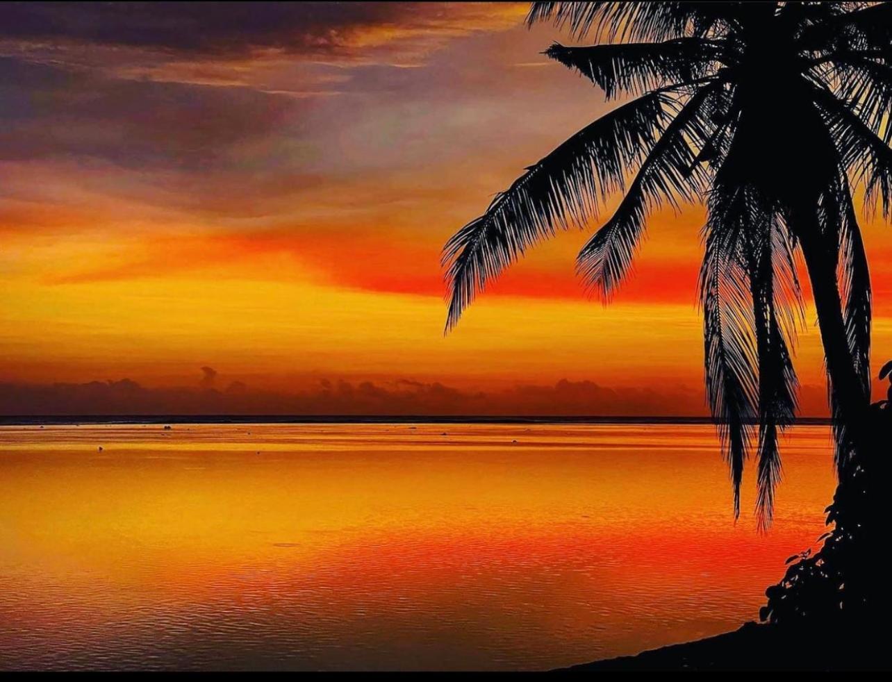 Maui Palms - view 21