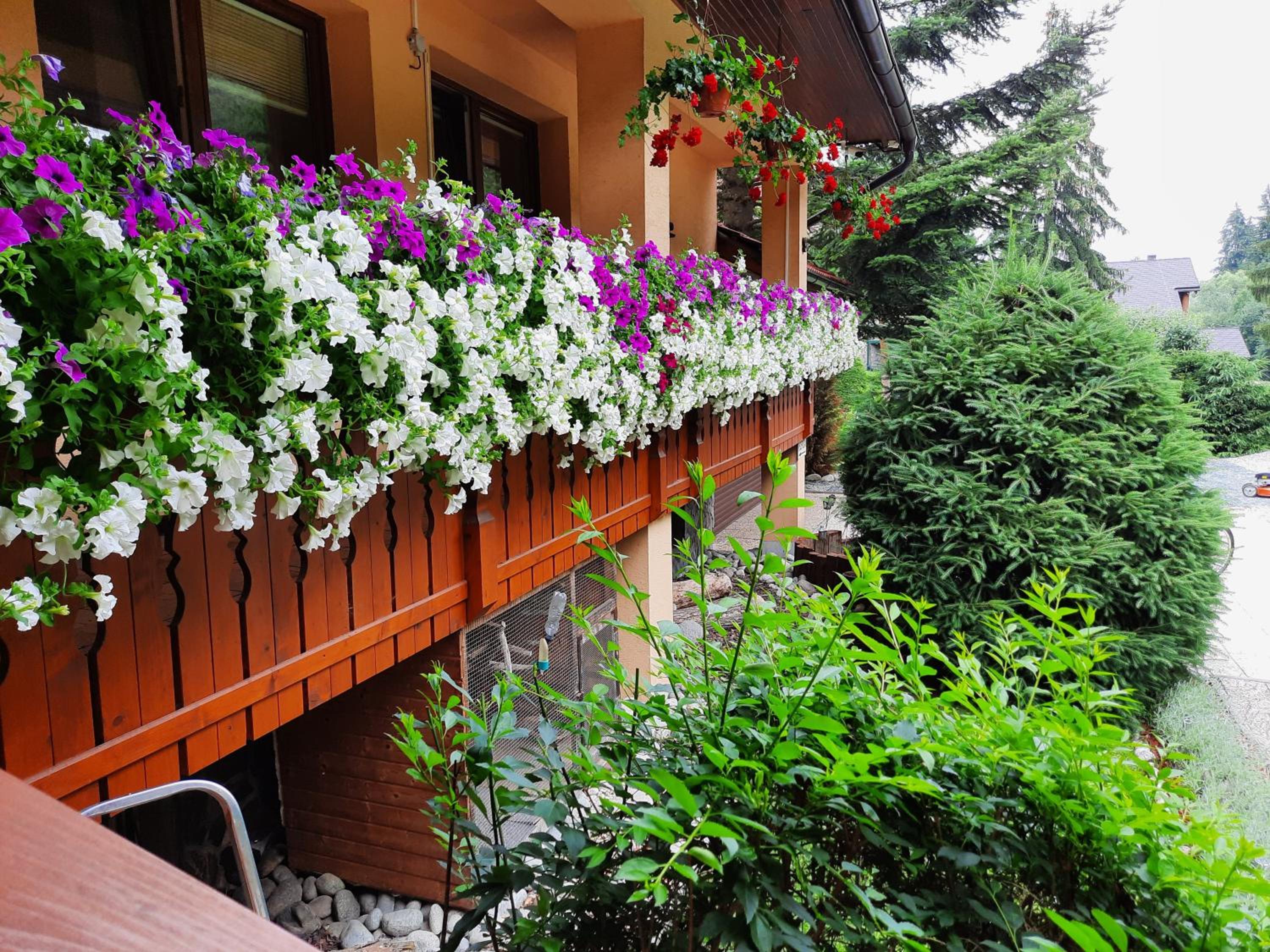 Apartmány PACIFIC view 2