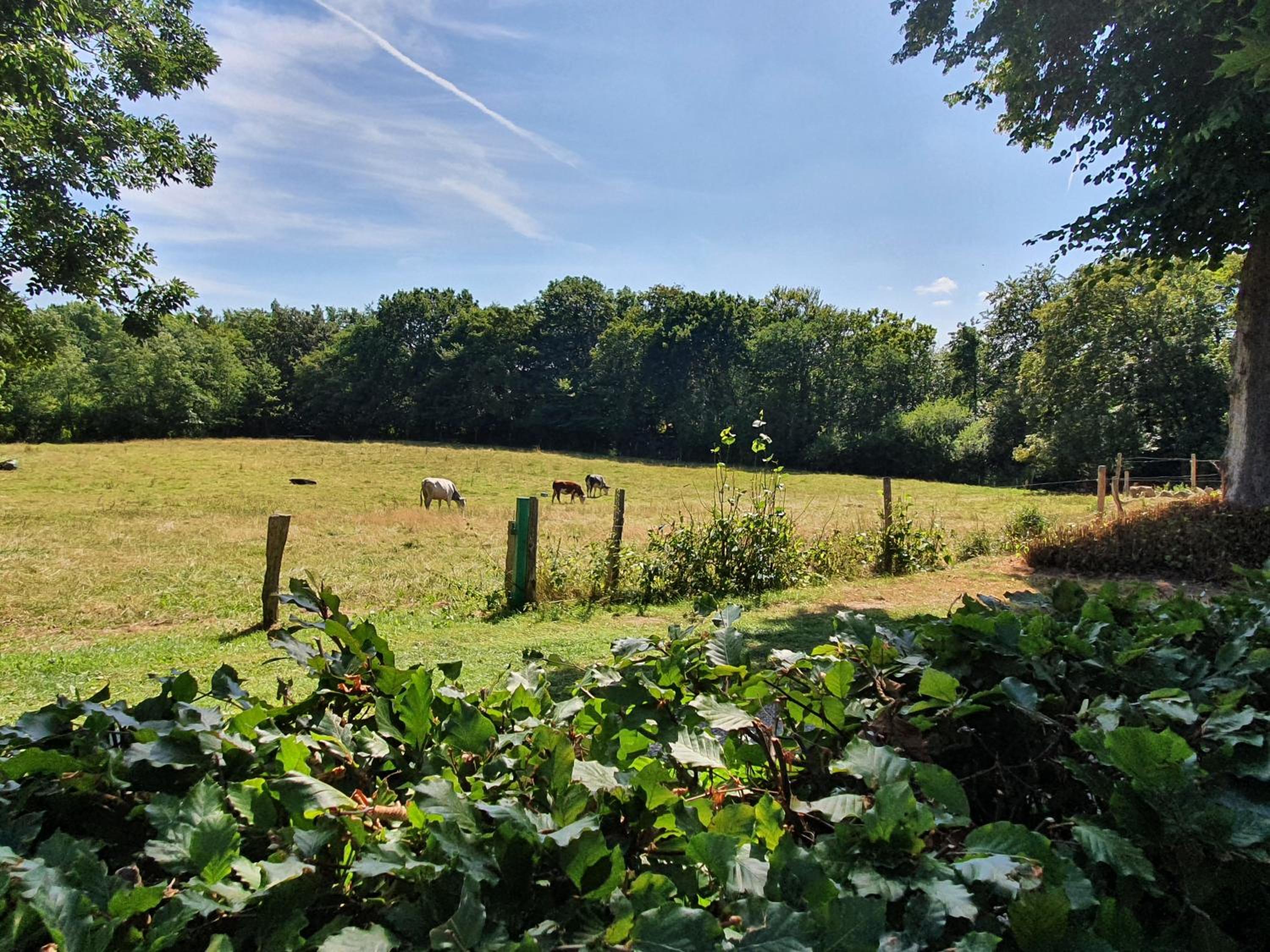Slotsgaardens hus