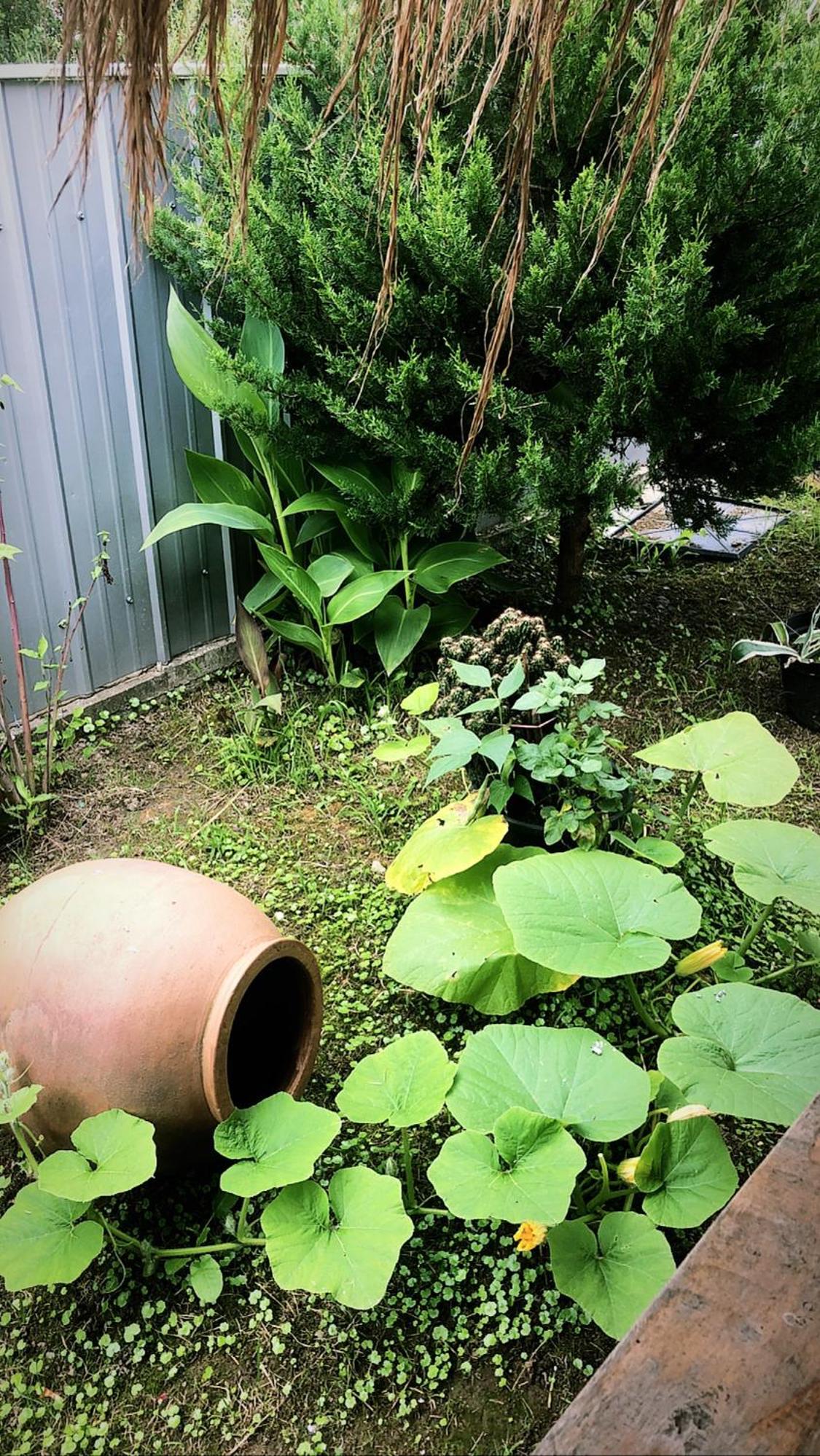 Photo 26