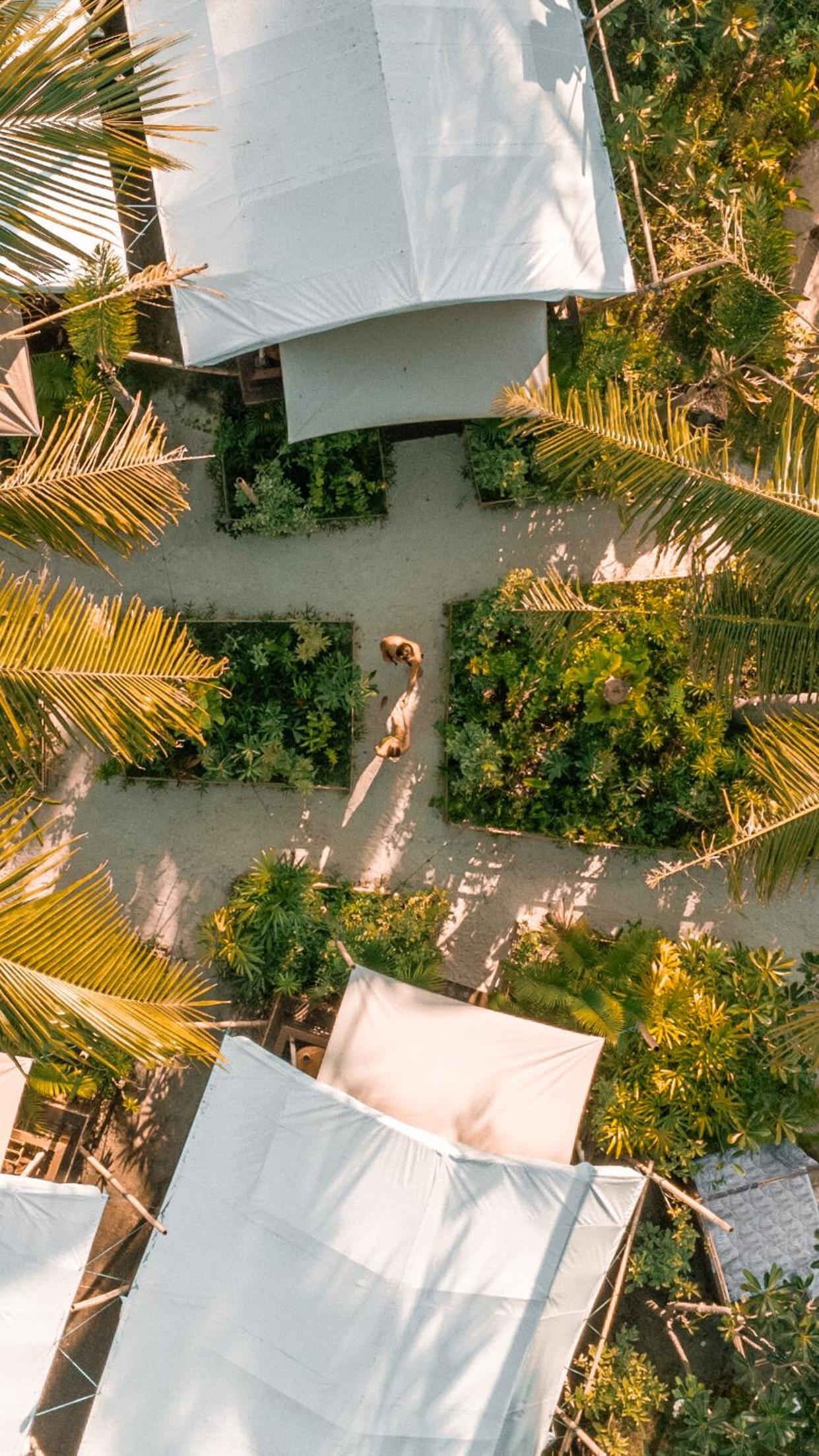 La Cocoteraie Ecolodge - Luxury Glamping Tents view 5