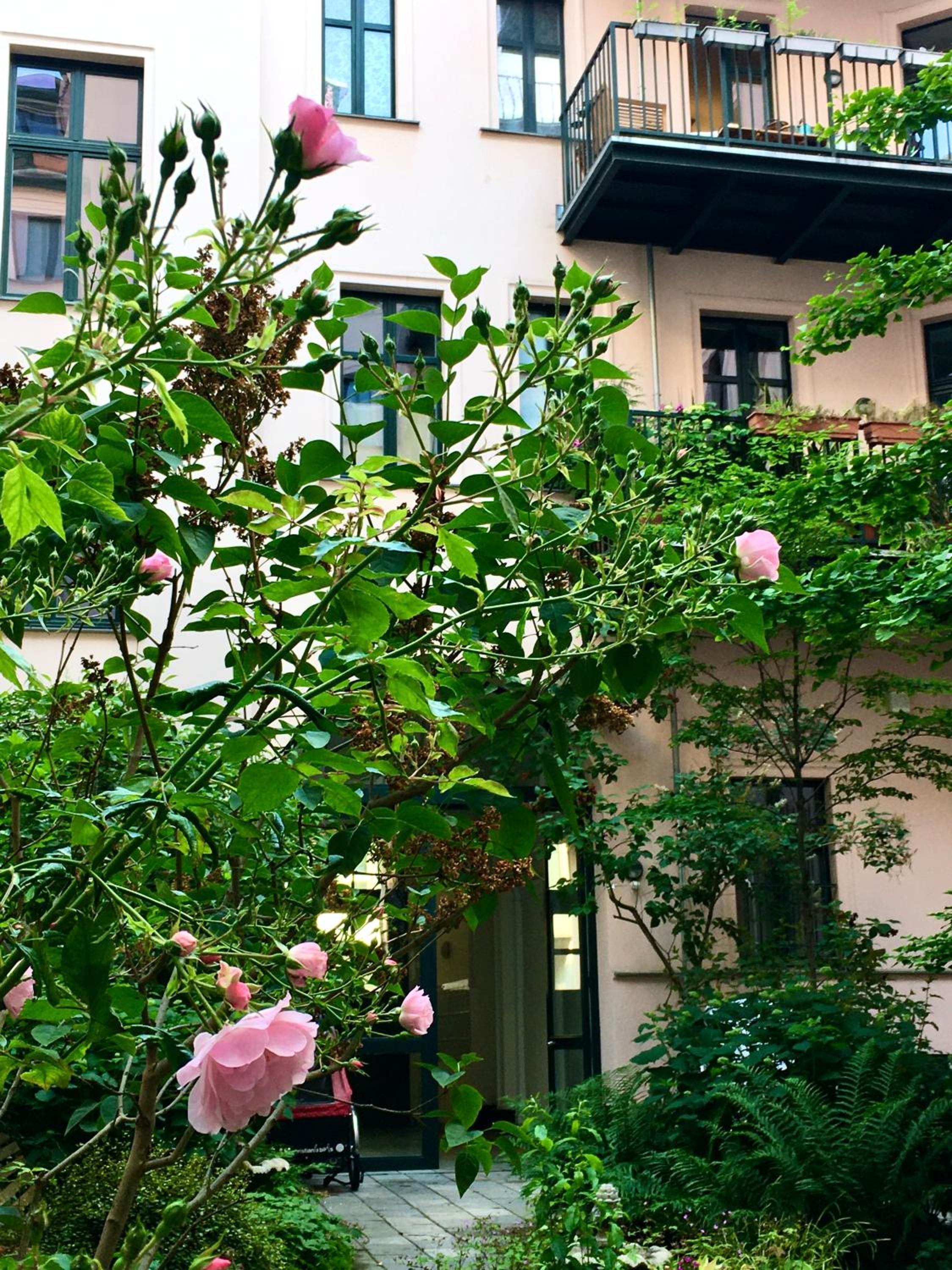 2-Zimmer-Apartment 