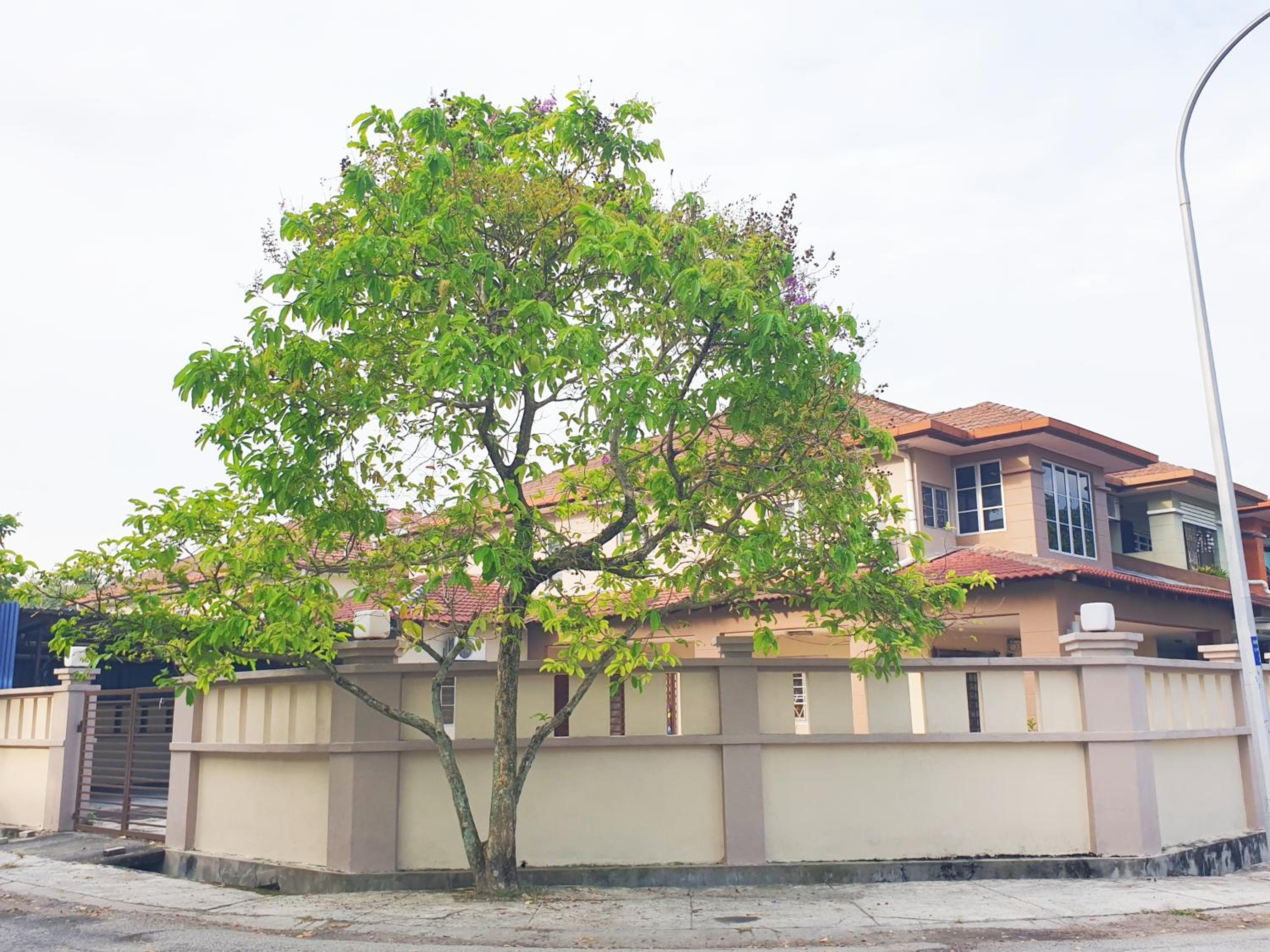 Airport Garden Stay #corner hoise 5 rooms #free wifi #parking #tv chanel photo 1