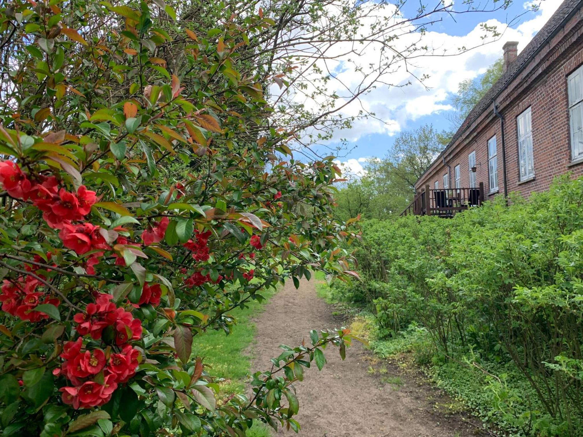 Ferielejlighed i herregårdsmiljø
