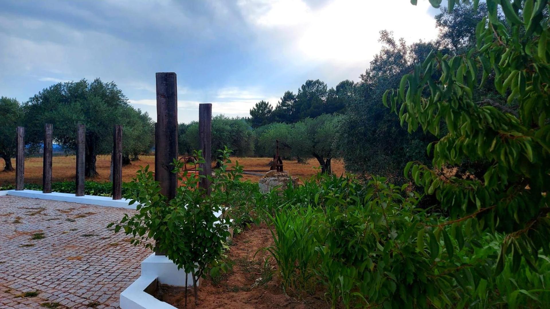 Quinta Lameira do Vale view 5