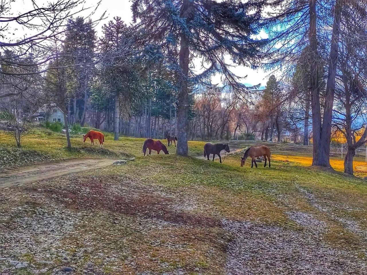 Posada del Ñireco