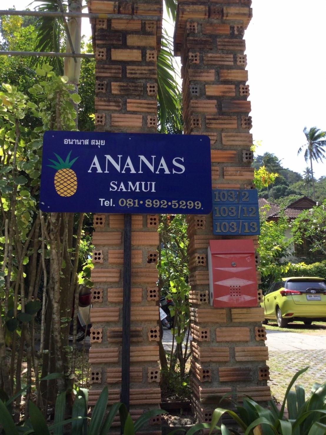 Ananas Samui Hostel