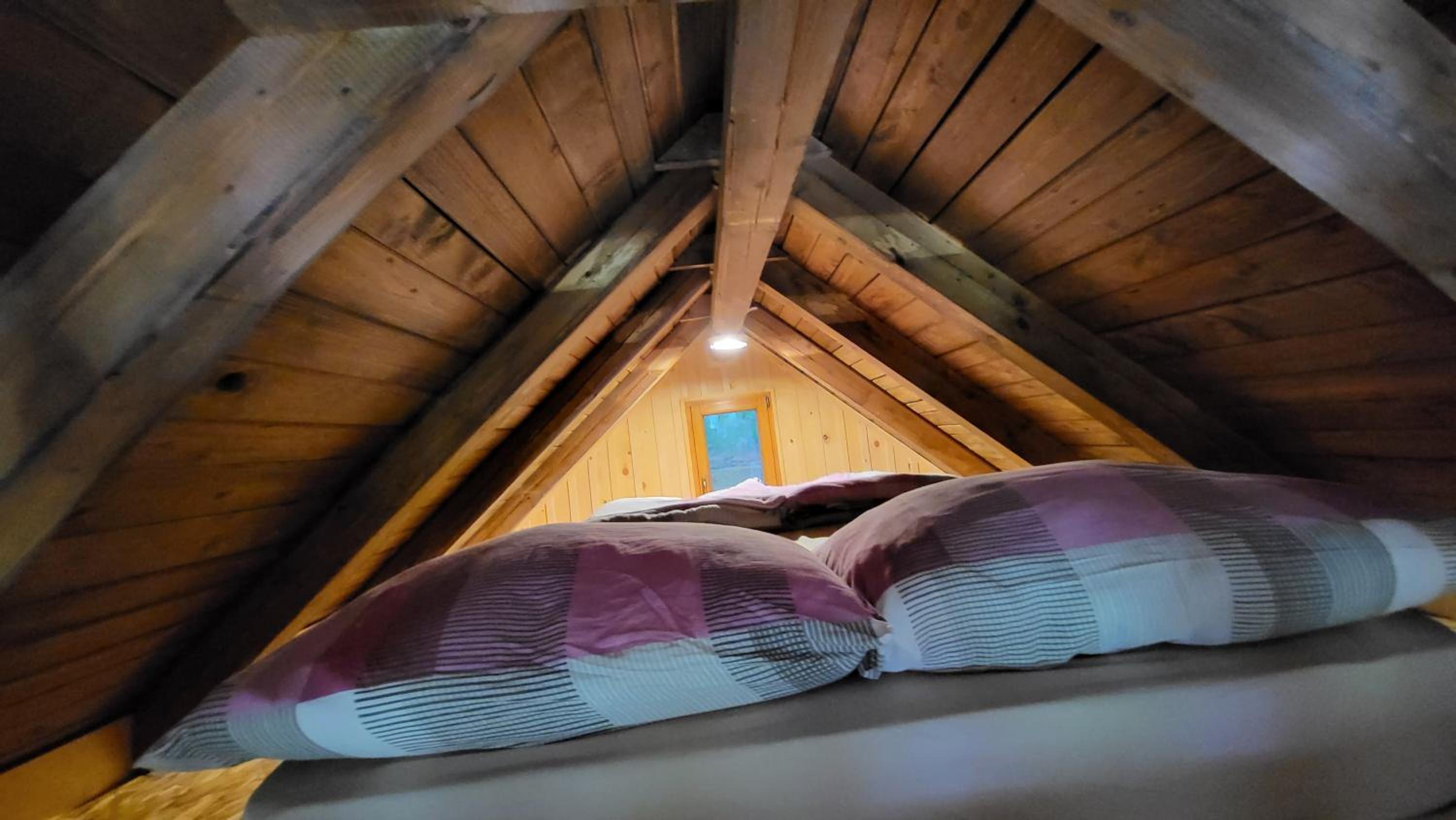 Glamping Fikfak