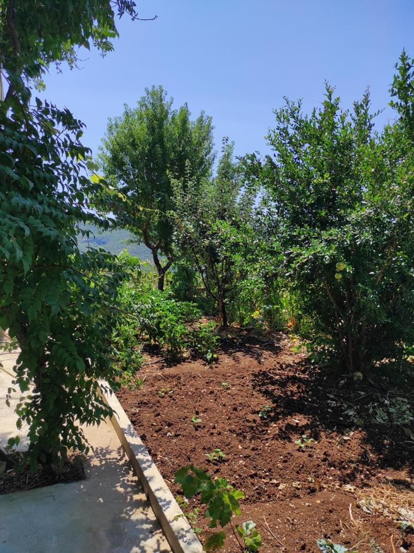 One Bedroom Apartment Gogo with Private Parking view 4
