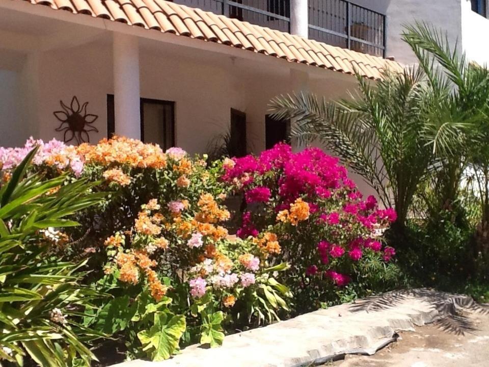 Photo 28