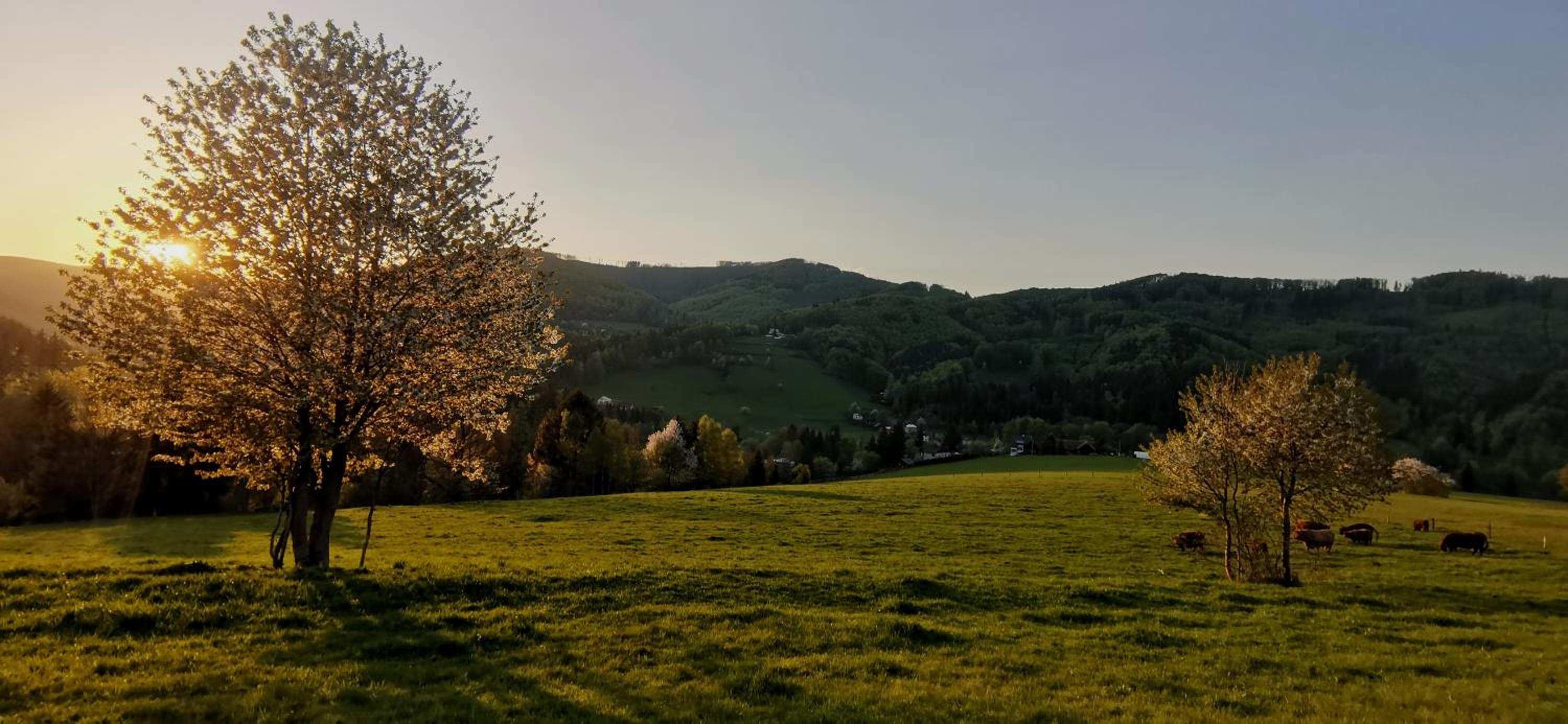 Penzion Rzehaczek