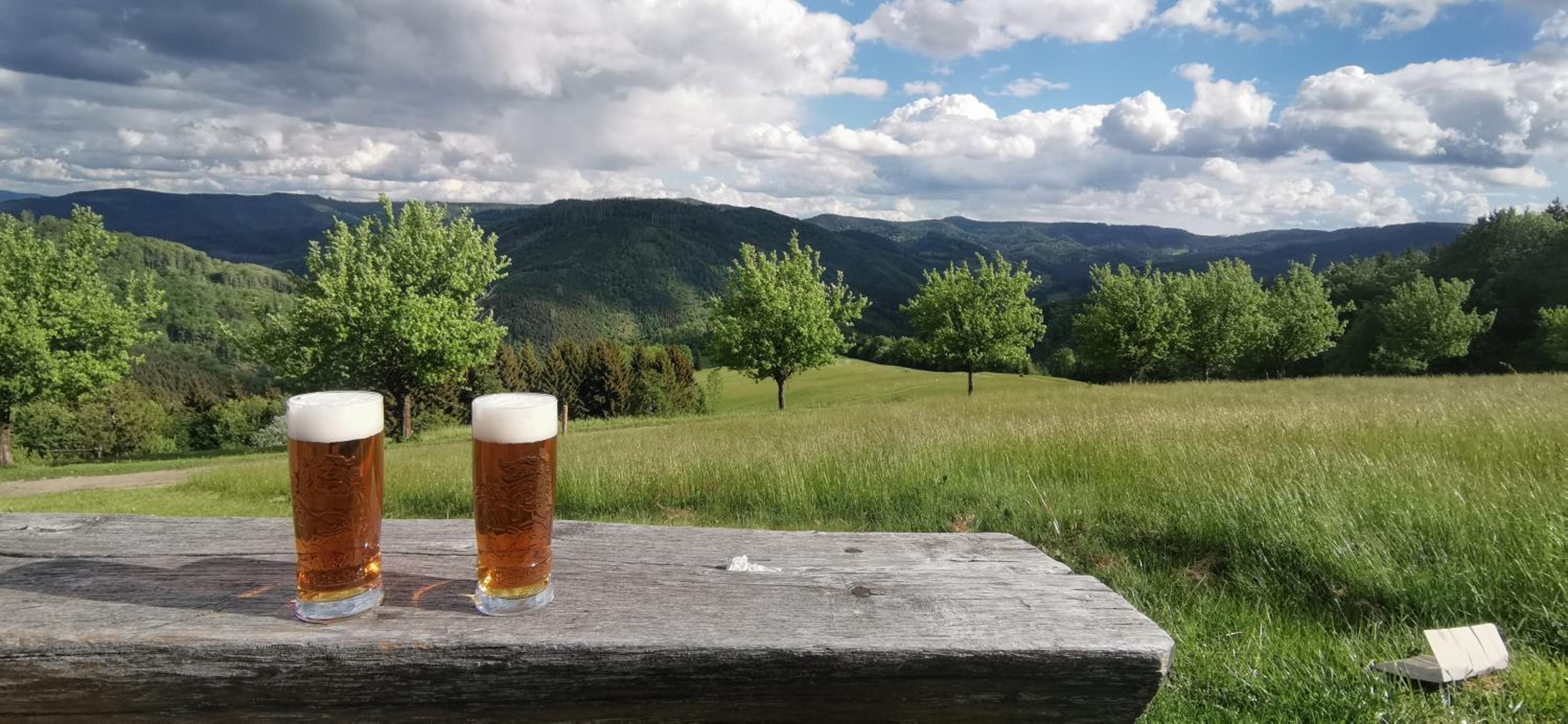 Penzion Rzehaczek