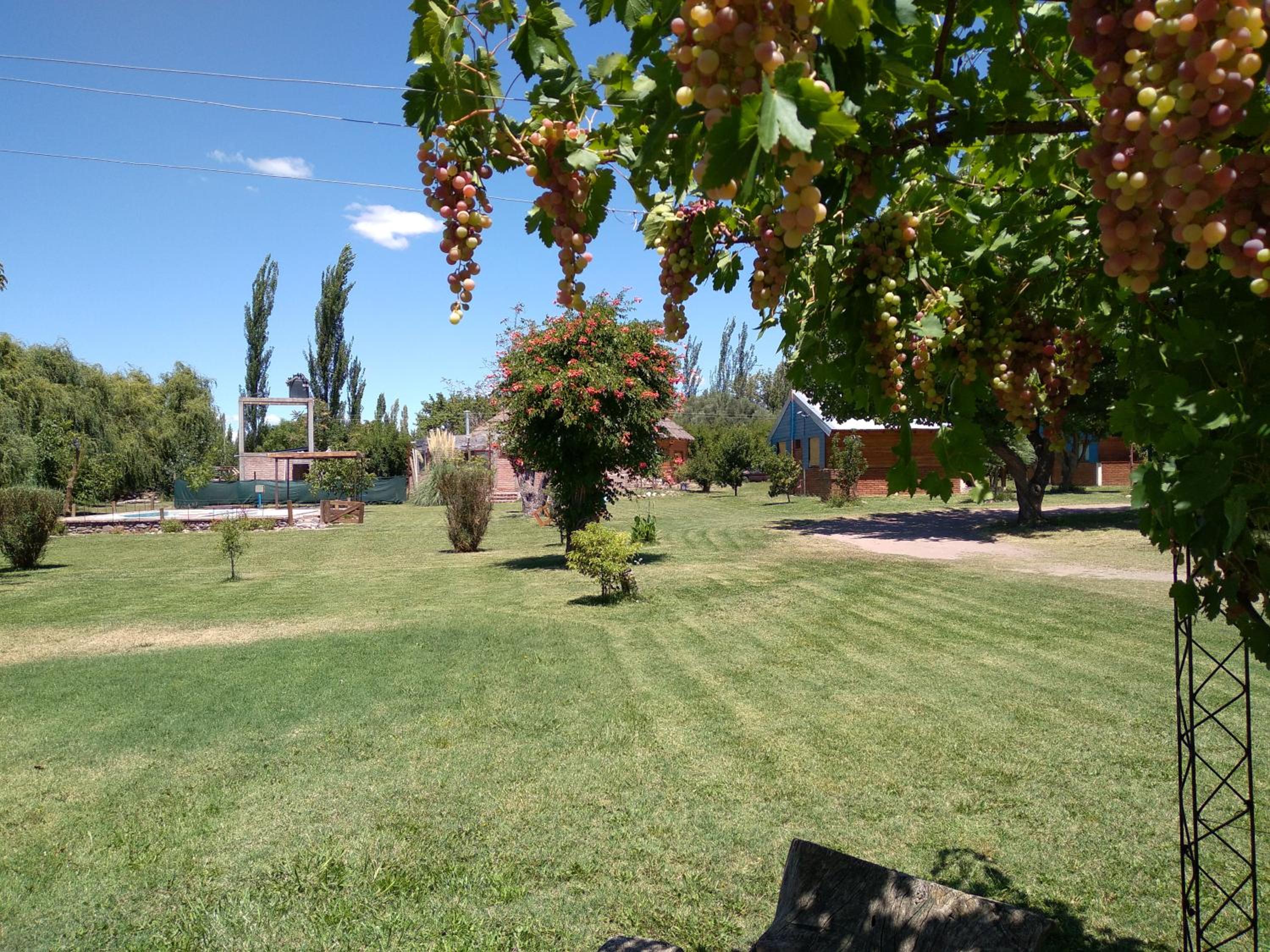 Cabaña La Palloza