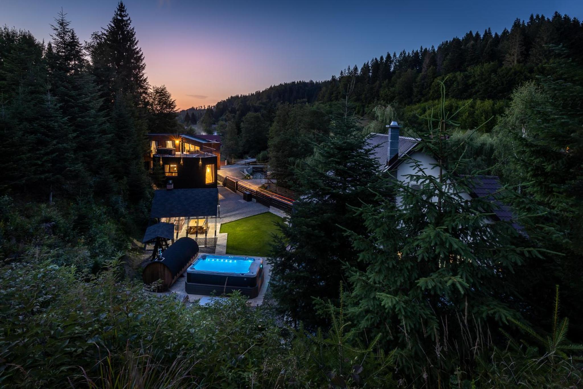 Villa Trésor Voronet view 2