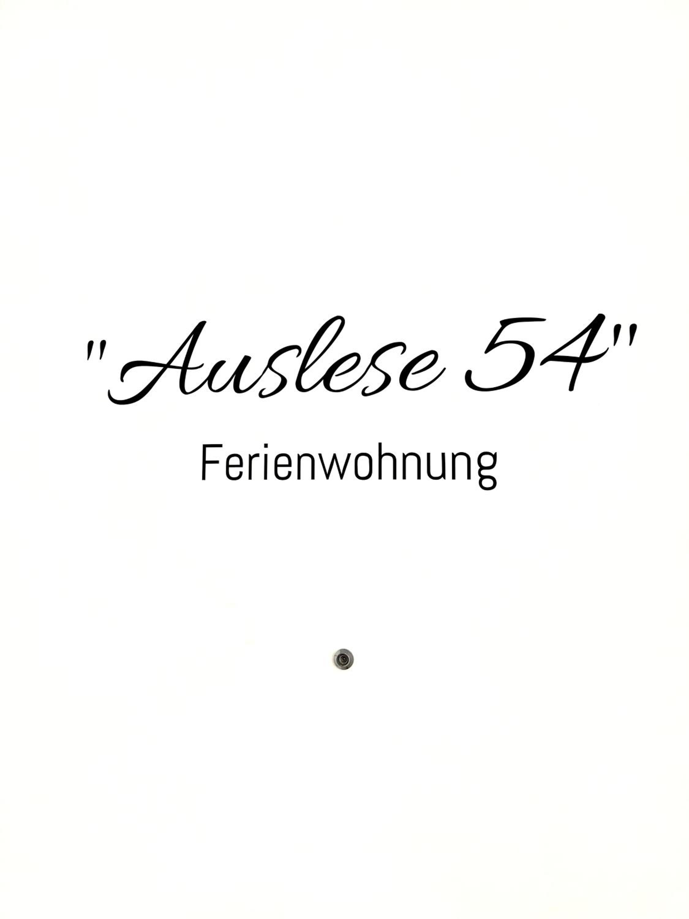 "Auslese 54" -Direkt am Moselufer- Gastezimmer Ferienwohnung - Property Image 21