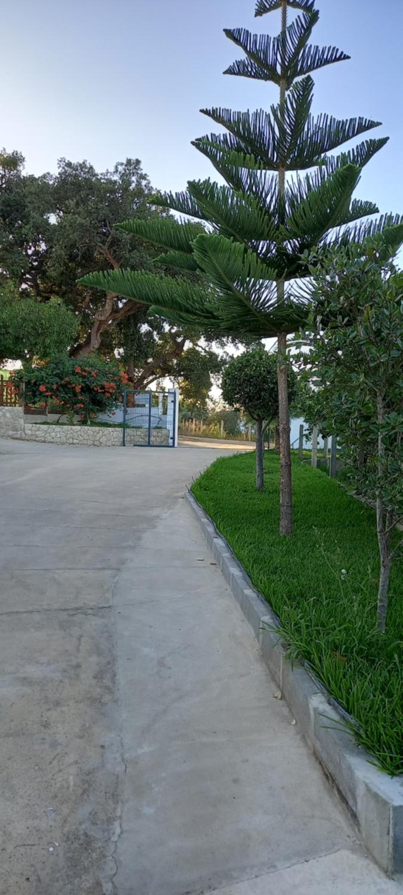 Photo 41