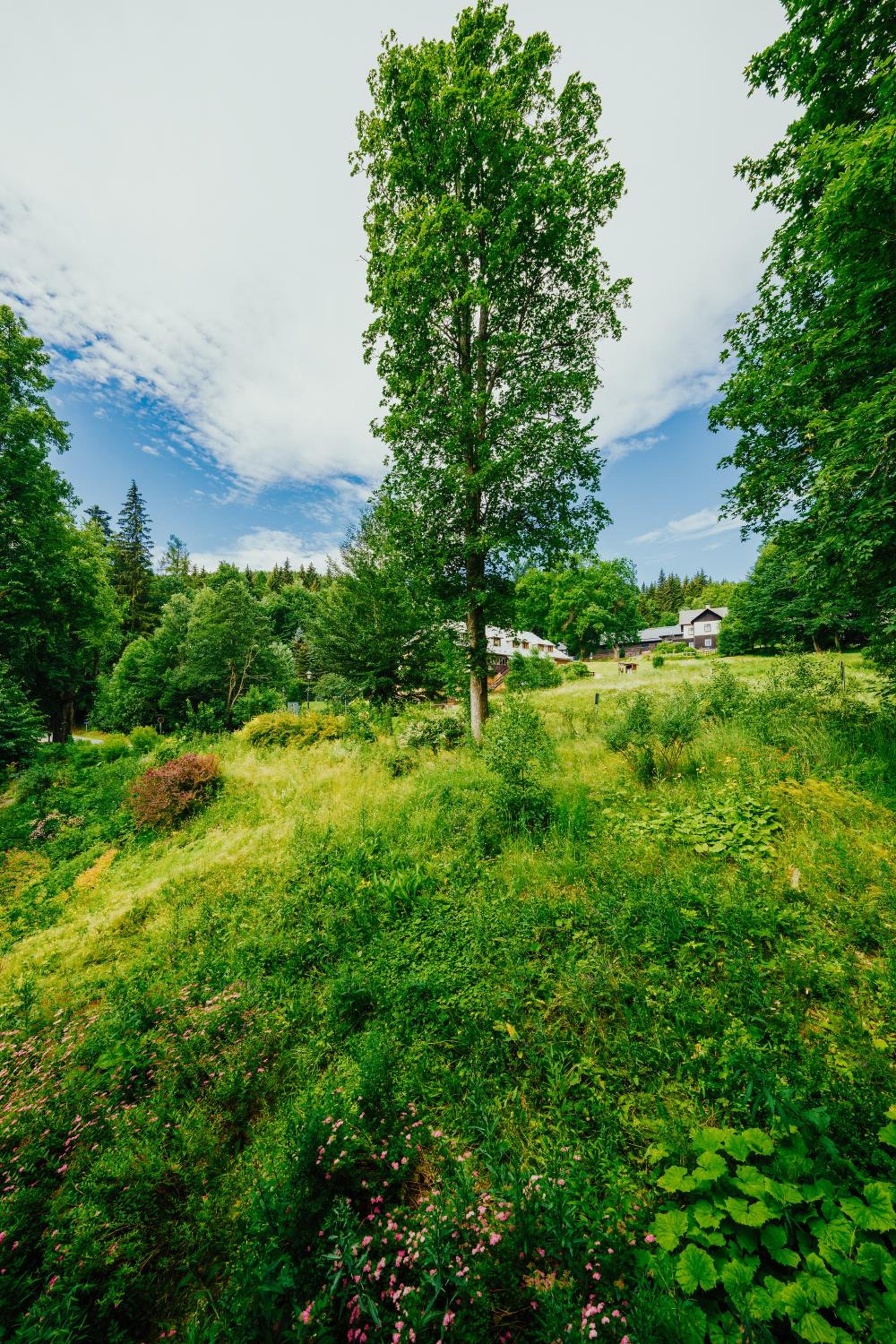 Apartmán U Vlka - Hubertus, Karlova Studánka