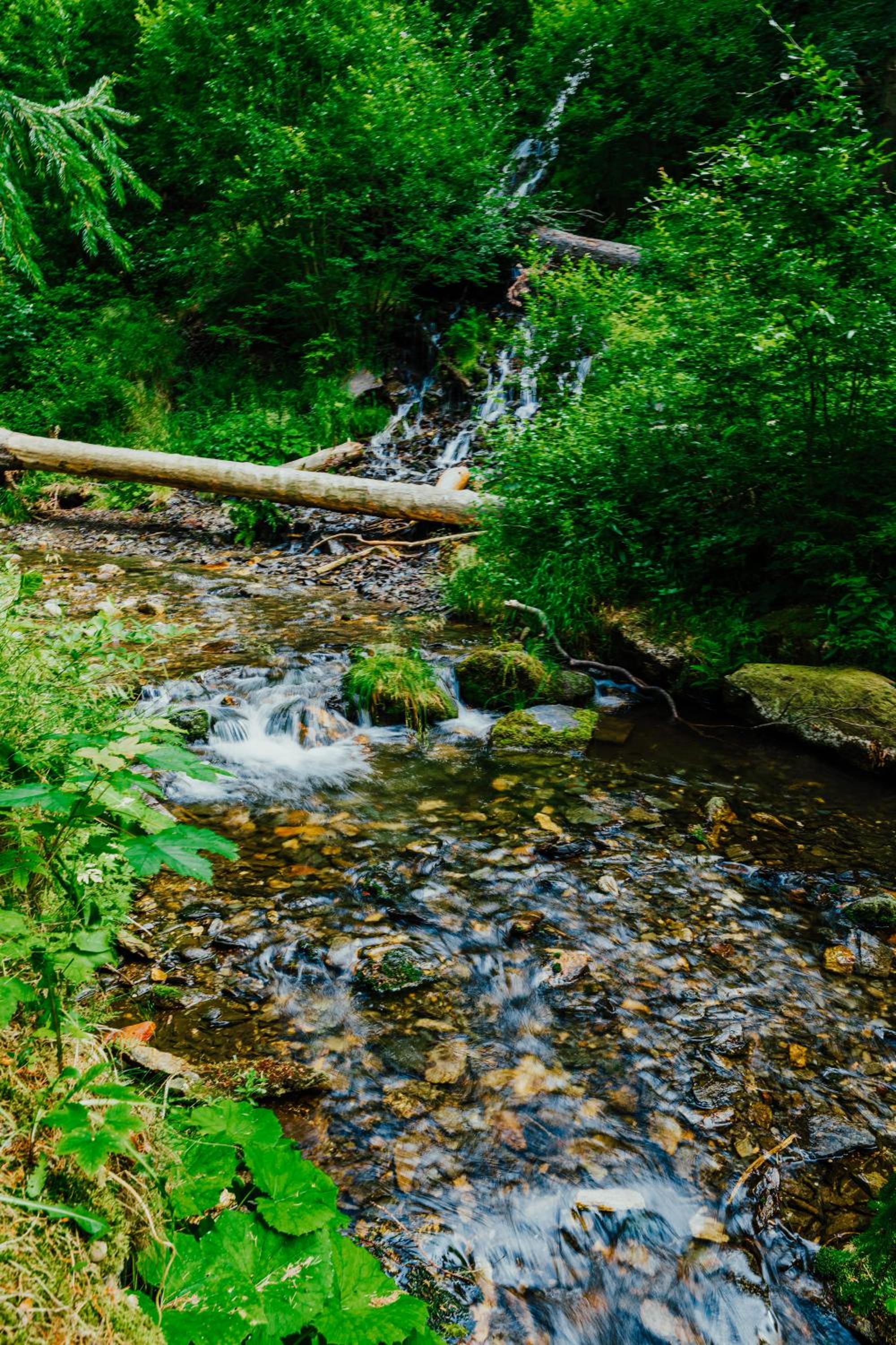 Apartmán U Vlka - Hubertus, Karlova Studánka