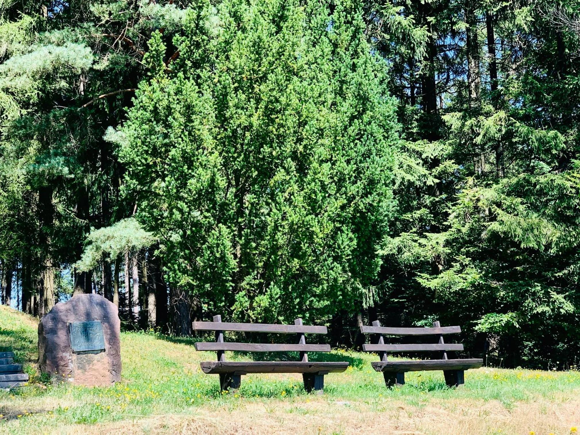 Nibelungen Odenwaldhaus