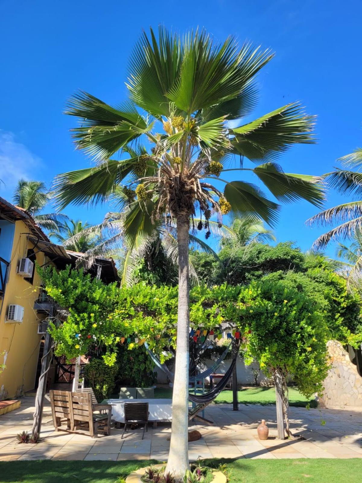 Pousada Canoa Beach
