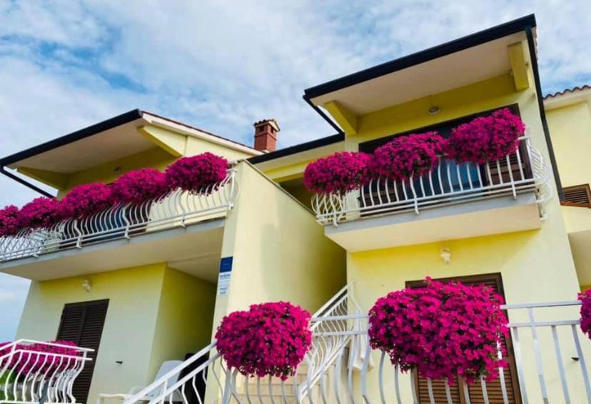 Apartments Mišon view 5