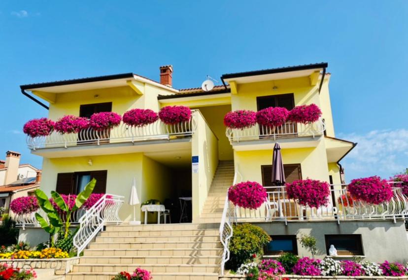 Apartments Mišon view 4