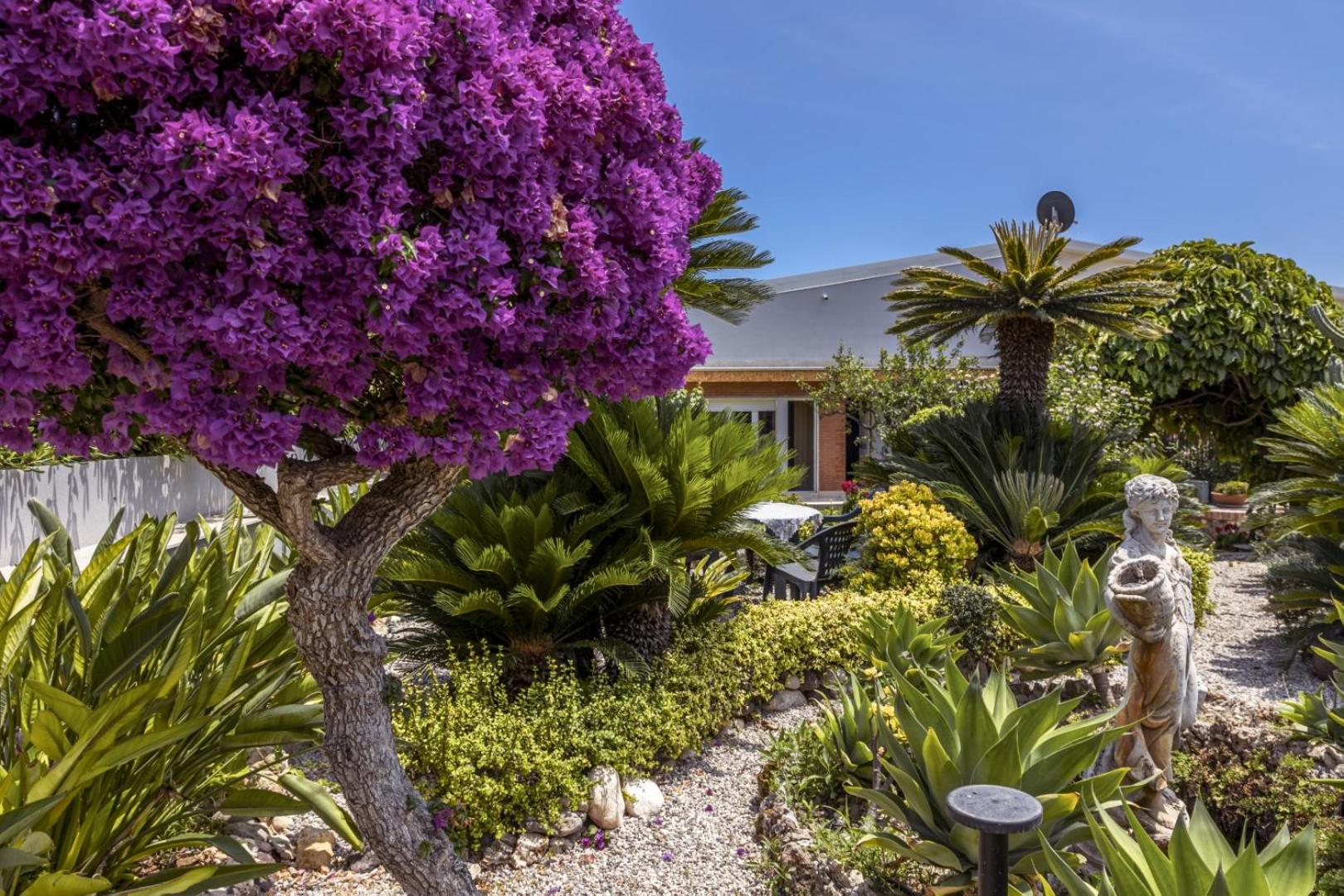 Villa Seahorse, Fontane Bianche, Siracusa, BEACHFRONT, great wifi, beautiful garden