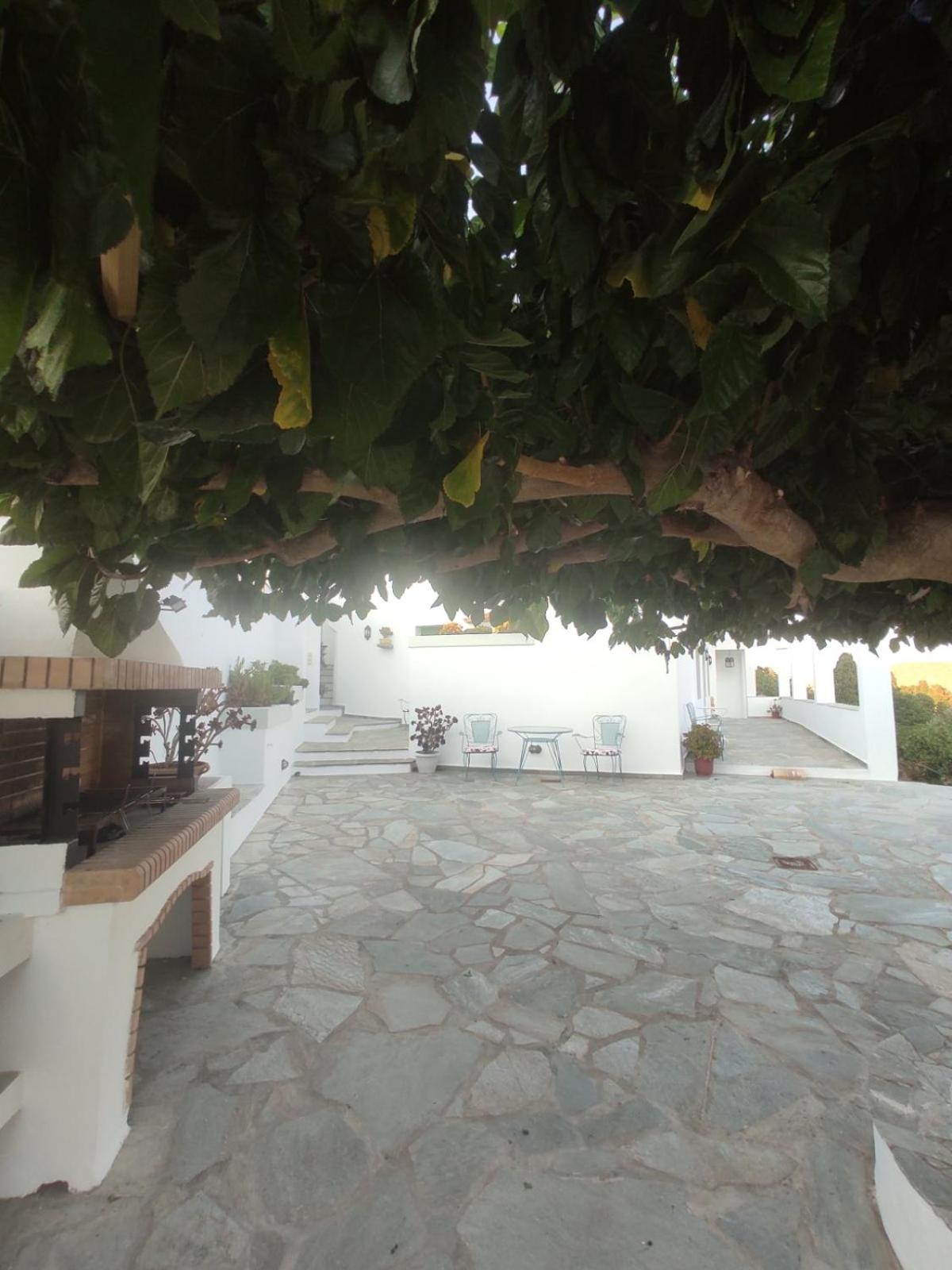 House Moschα view 2