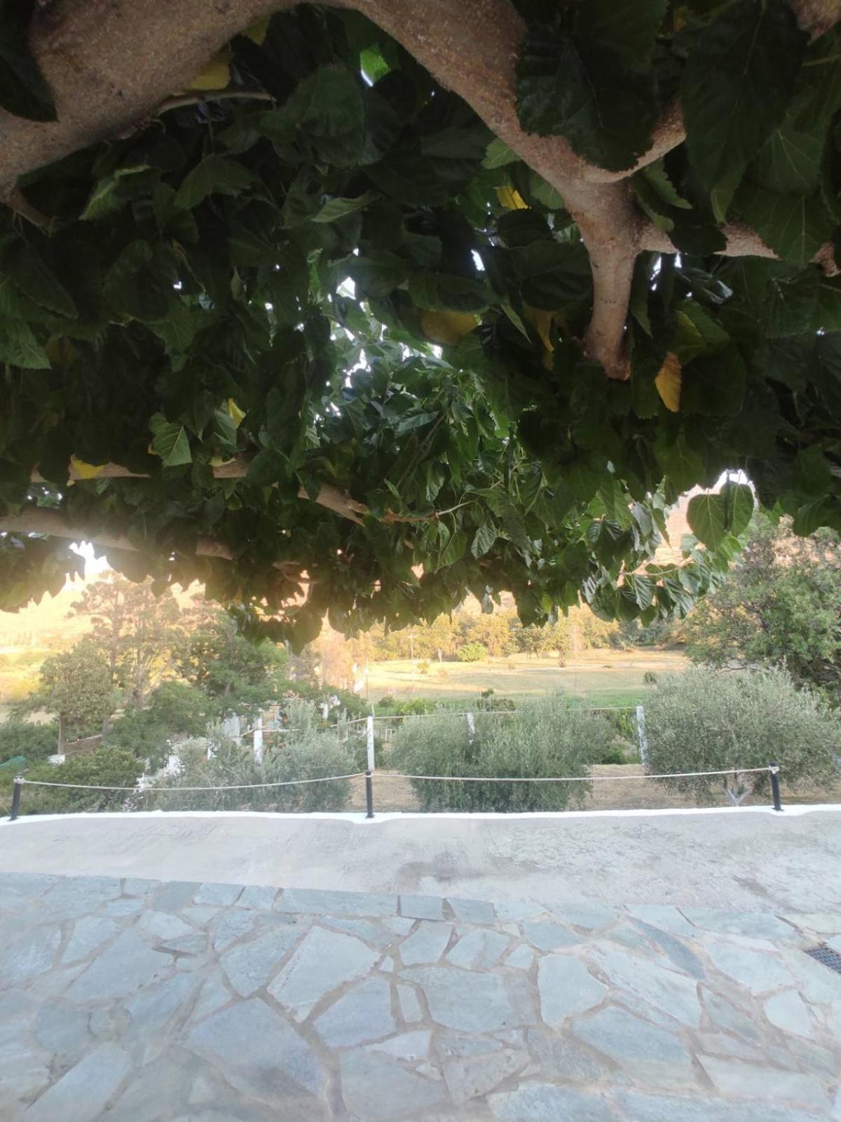 House Moschα view 3