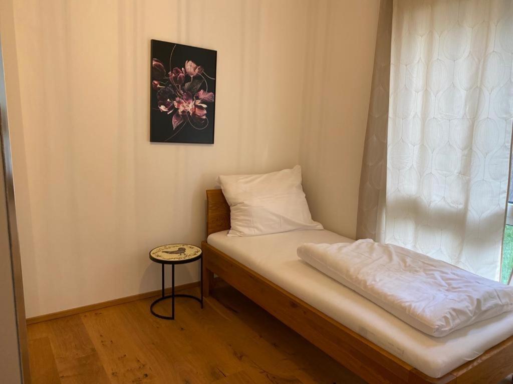 Modern apartment with garden near city center