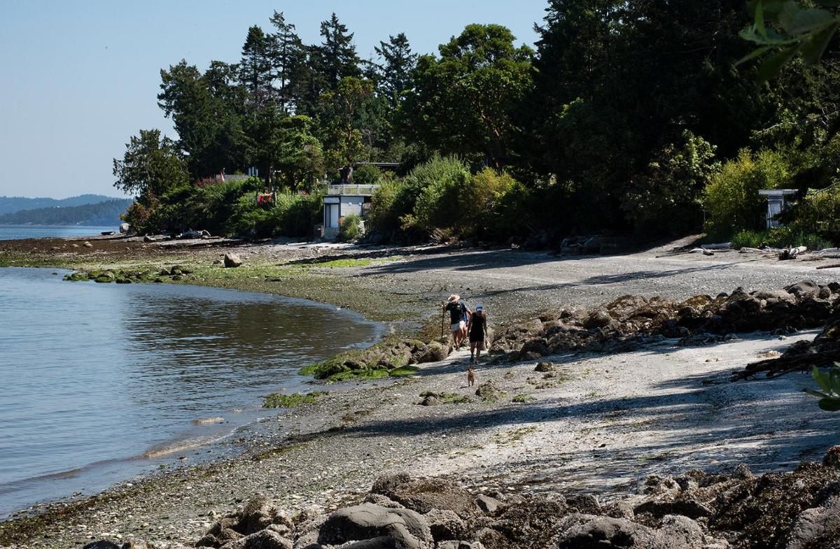 Deep Cove Retreat on the Ocean