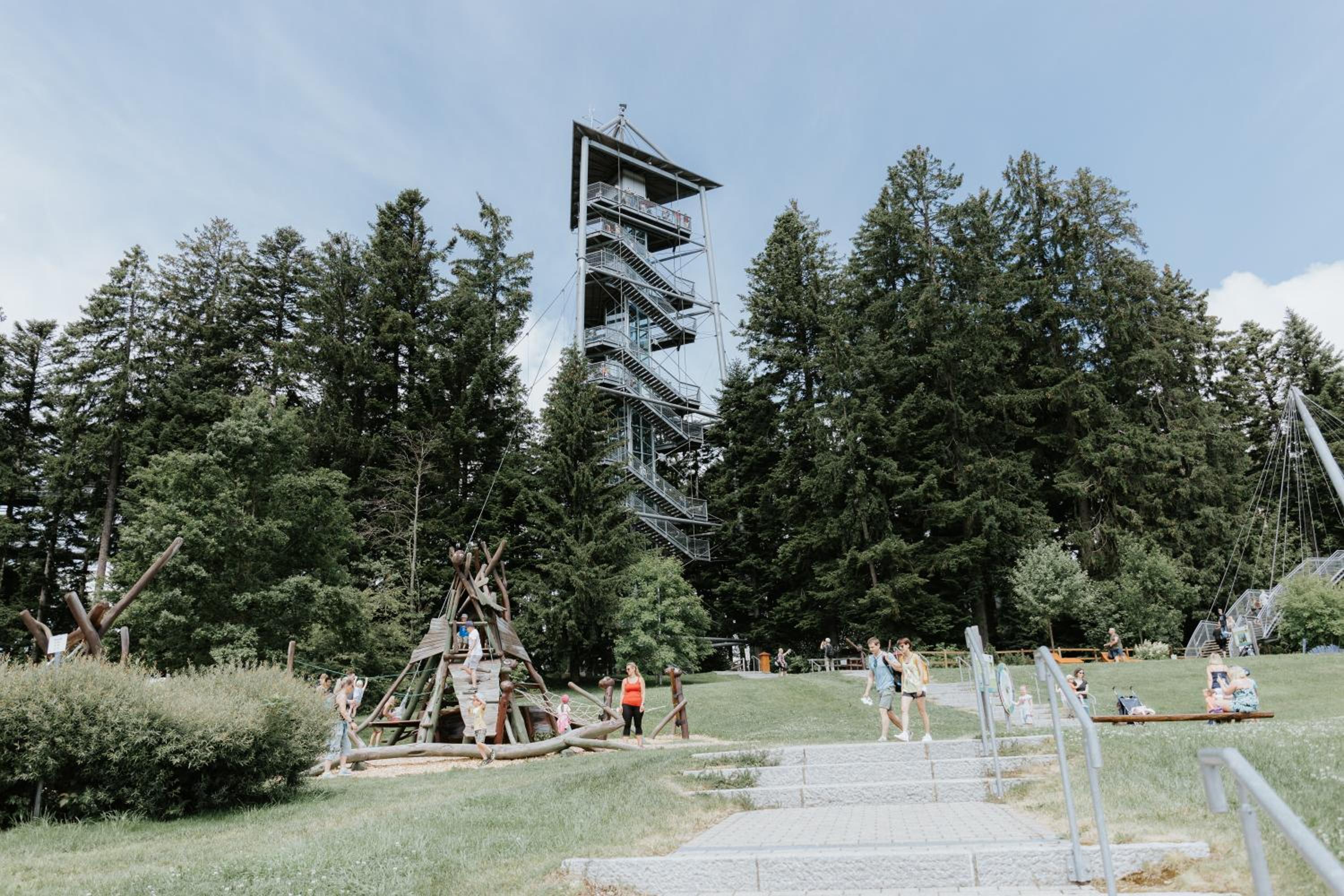 Rosenalm Scheidegg