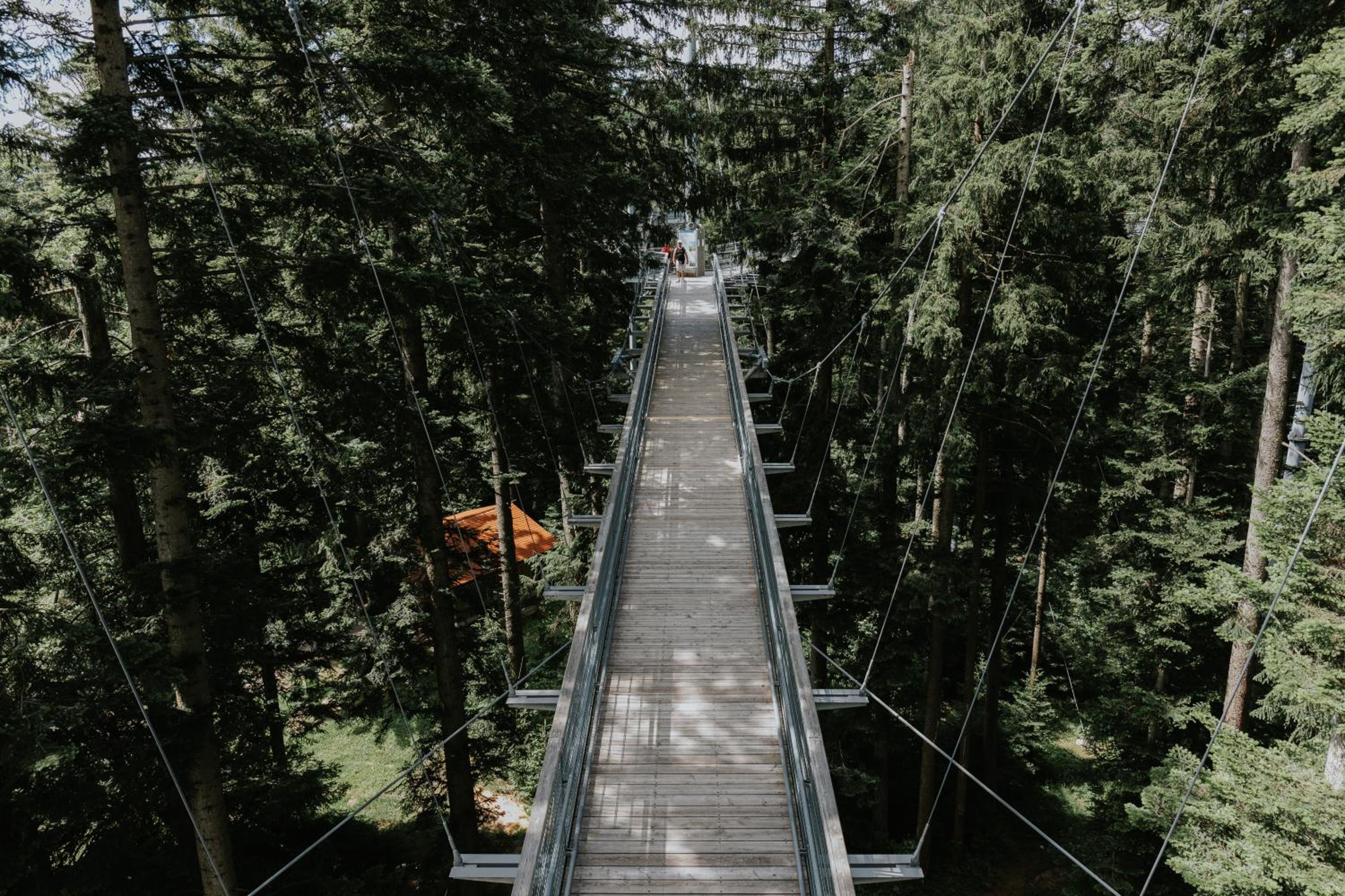 Rosenalm Scheidegg