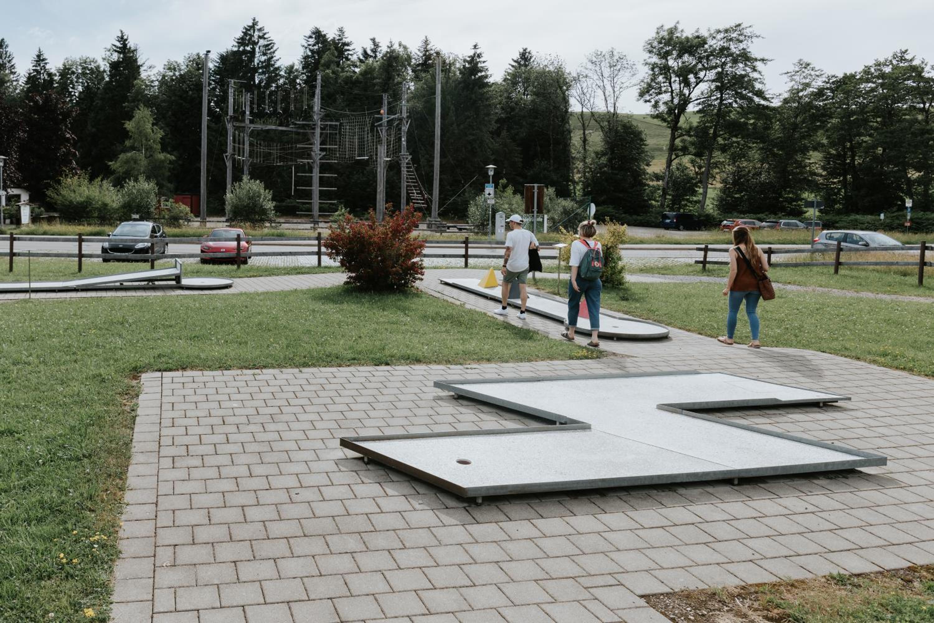 Rosenalm Scheidegg