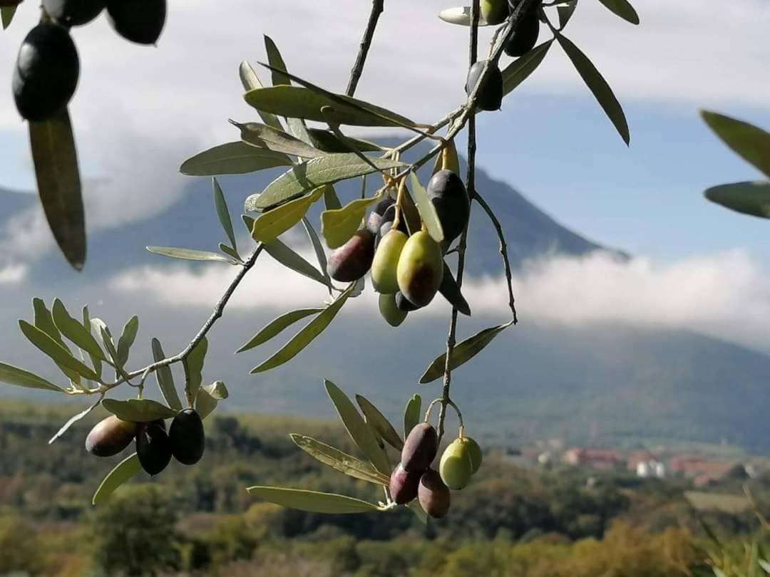 Salisù Country House photo 5