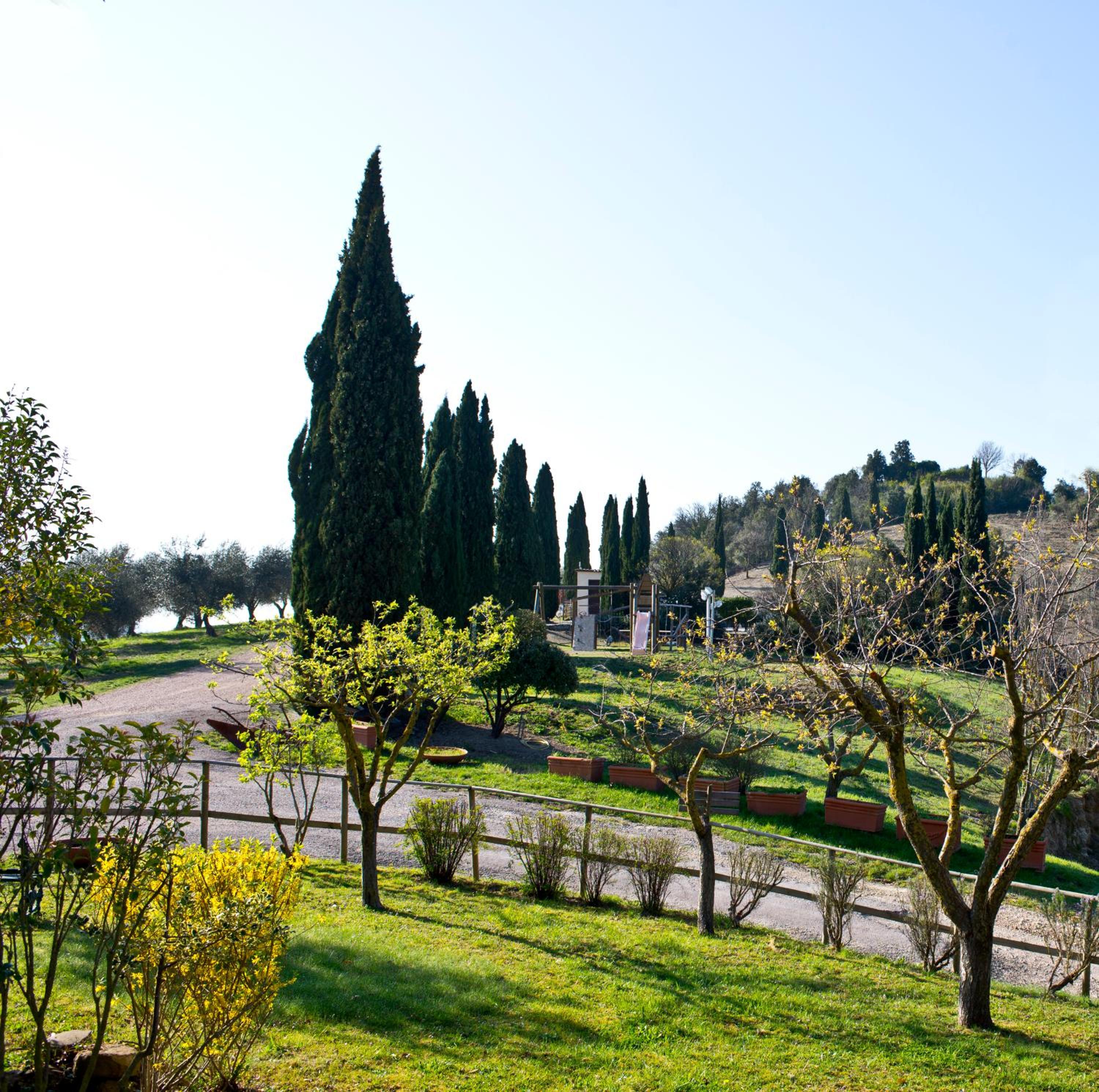 Agriturismo Torre Burchio view 3