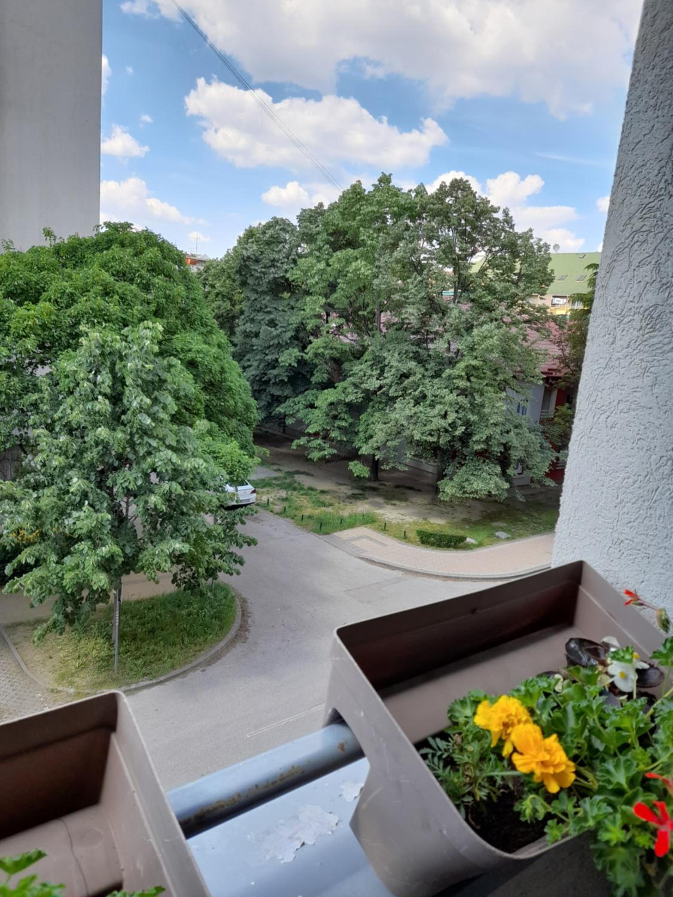 Apartman Aurora view 4