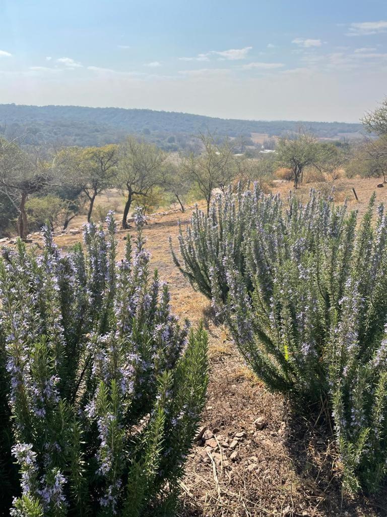 La Tina