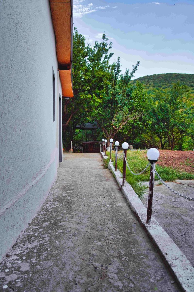 Casa La Dăvrei view 5