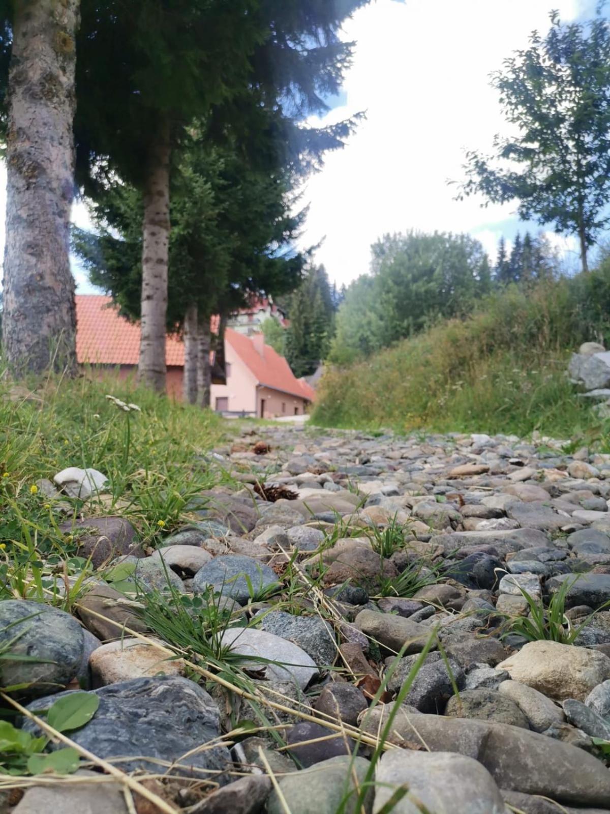 Photo 46